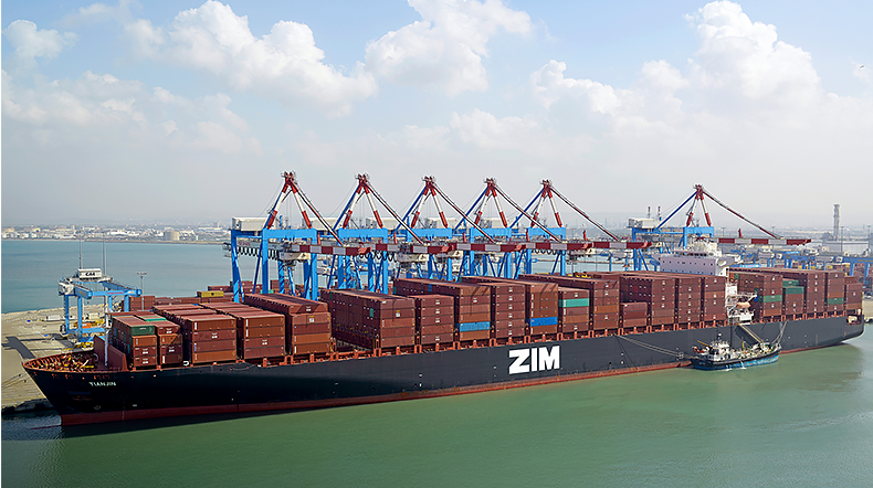 Big newbuilding program sees ZIM overtake Yang Ming 